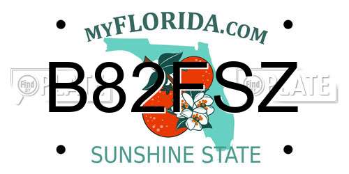 B82FSZ Florida License Plate