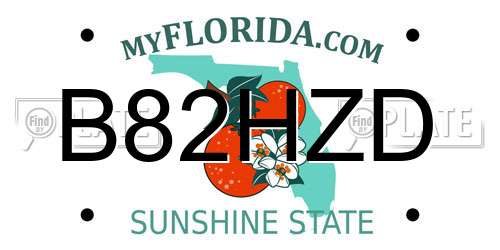 B82HZD Florida License Plate