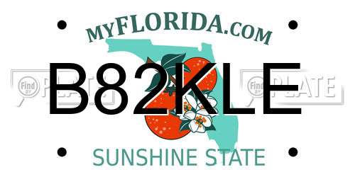 B82KLE Florida License Plate