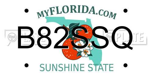 B82SSQ Florida License Plate