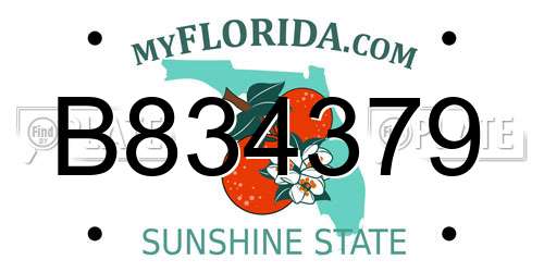B834379 Florida License Plate