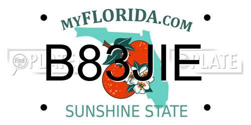 B83JIE Florida License Plate