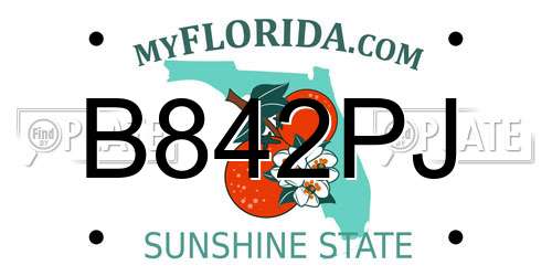 B842PJ Florida License Plate