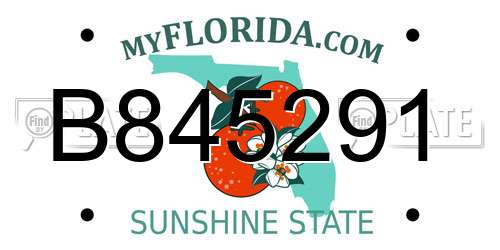 B845291 Florida License Plate