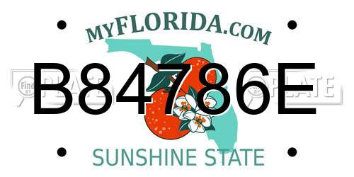 B84786E Florida License Plate