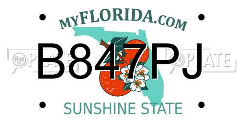 B847PJ Florida License Plate