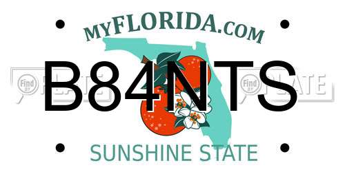 B84NTS Florida License Plate