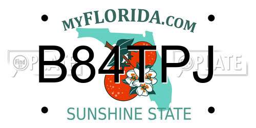 B84TPJ Florida License Plate
