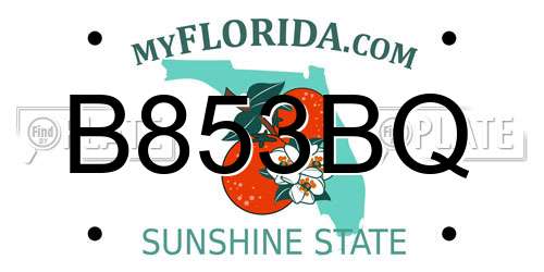 B853BQ Florida License Plate