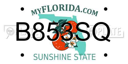 B853SQ Florida License Plate