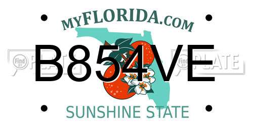 B854VE Florida License Plate