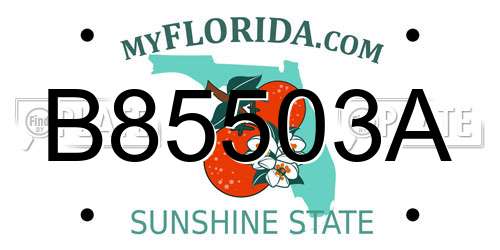 B85503A Florida License Plate