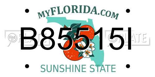 B85515I Florida License Plate
