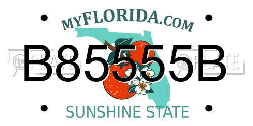B85555B Florida License Plate