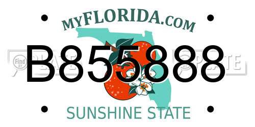 B855888 Florida License Plate