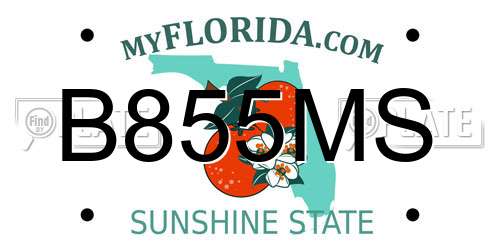 B855MS Florida License Plate