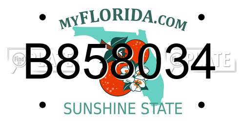 B858034 Florida License Plate
