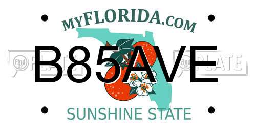 B85AVE Florida License Plate