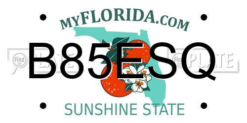 B85ESQ Florida License Plate