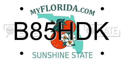 B85HDK Florida License Plate