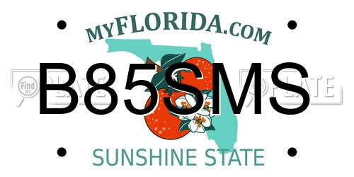 B85SMS Florida License Plate
