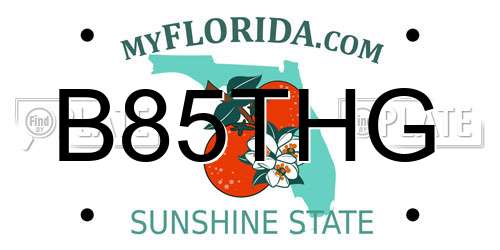 B85THG Florida License Plate