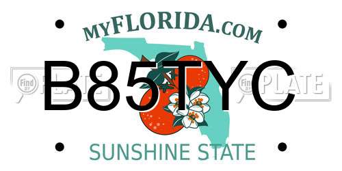 B85TYC Florida License Plate