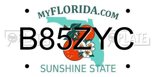 B85ZYC Florida License Plate