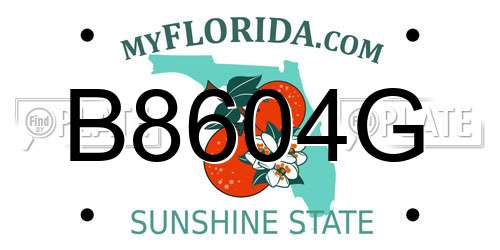 B8604G Florida License Plate