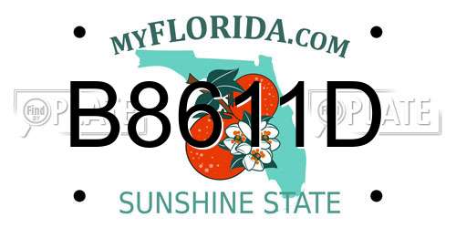 B8611D Florida License Plate