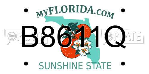 B8611Q Florida License Plate