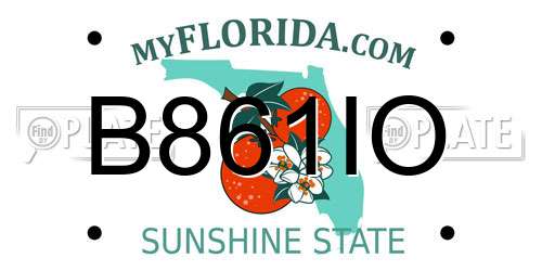 B861IO Florida License Plate