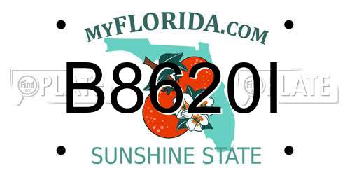 B8620I Florida License Plate