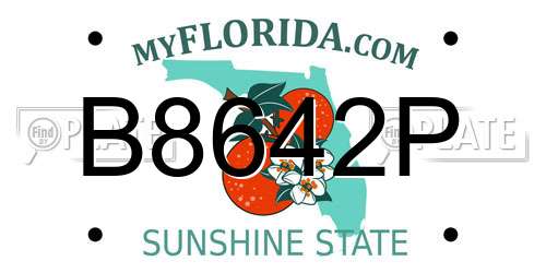 B8642P Florida License Plate