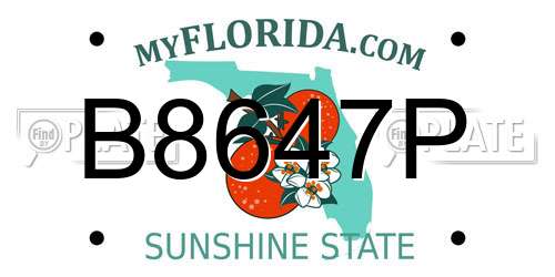 B8647P Florida License Plate