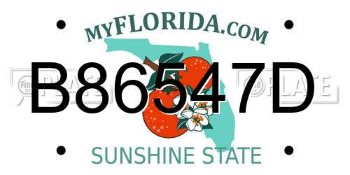 B86547D Florida License Plate