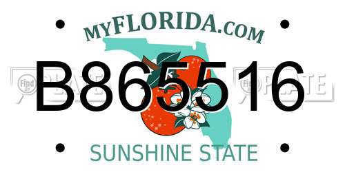B865516 Florida License Plate