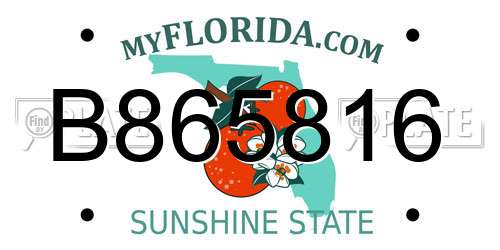 B865816 Florida License Plate