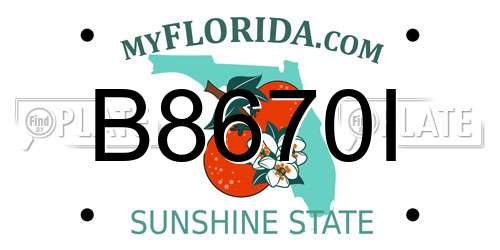 B8670I Florida License Plate