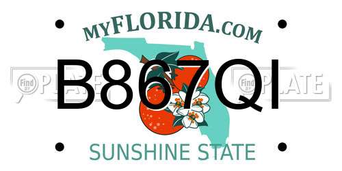 B867QI Florida License Plate
