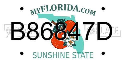 B86847D Florida License Plate
