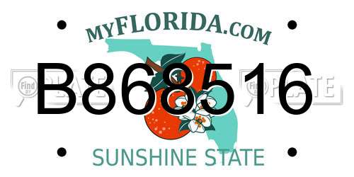 B868516 Florida License Plate