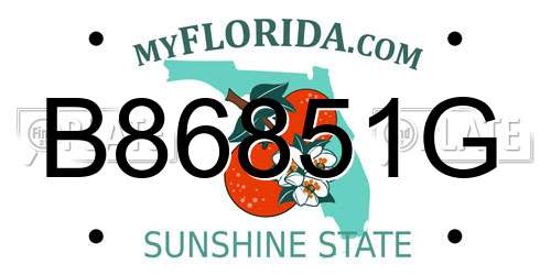 B86851G Florida License Plate