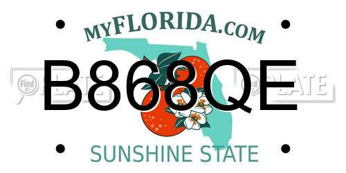 B868QE Florida License Plate