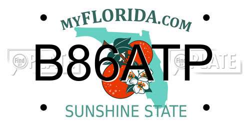 B86ATP Florida License Plate