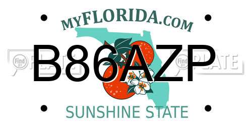 B86AZP Florida License Plate