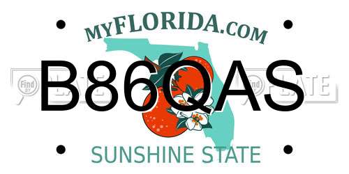 B86QAS Florida License Plate