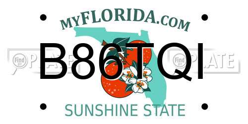B86TQI Florida License Plate