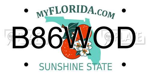 B86WOD Florida License Plate