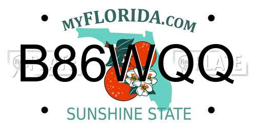 B86WQQ Florida License Plate